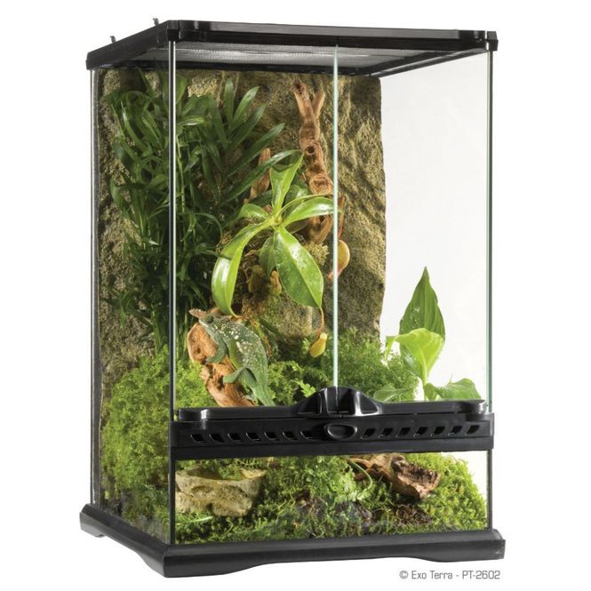 Hovedbilde Exo terra Mini Tall 20x20x30cm