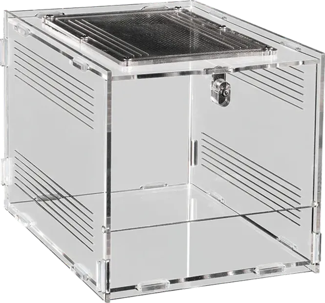 Hovedbilde Repto Terra clear 30x20x15,5cm
