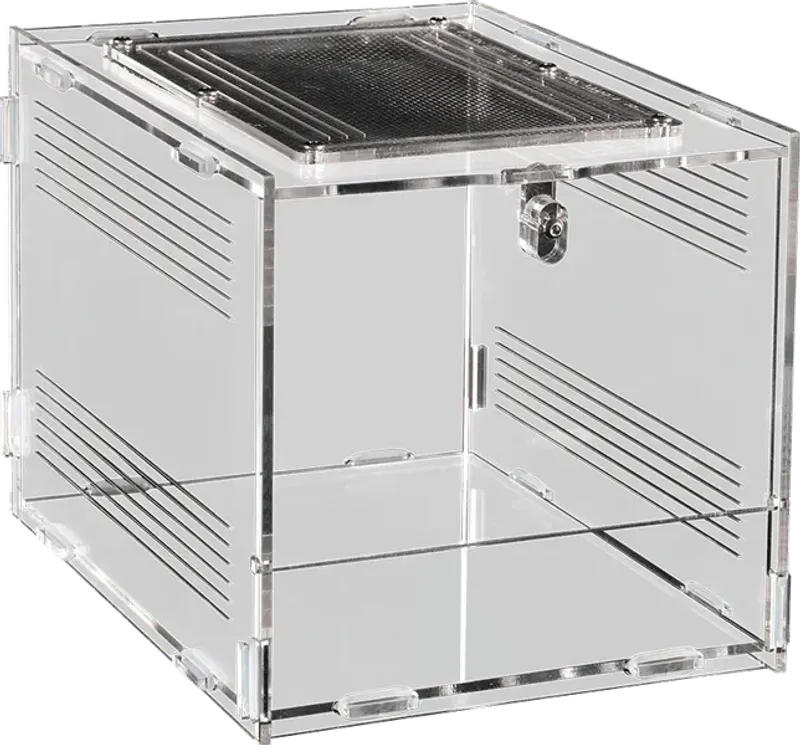 Repto Terra clear 30x20x15,5cm